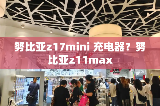 努比亚z17mini 充电器？努比亚z11max-第1张图片-星选测评