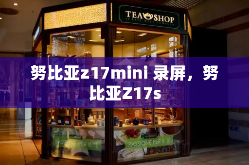 努比亚z17mini 录屏，努比亚Z17s-第1张图片-星选测评