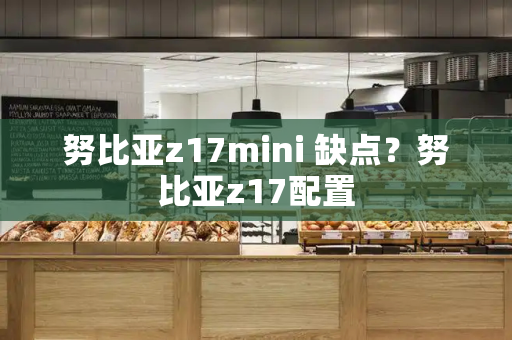 努比亚z17mini 缺点？努比亚z17配置