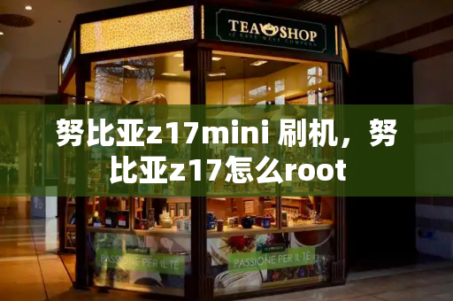 努比亚z17mini 刷机，努比亚z17怎么root-第1张图片-星选测评