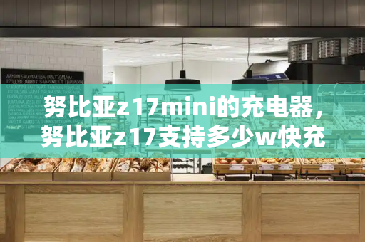 努比亚z17mini的充电器，努比亚z17支持多少w快充