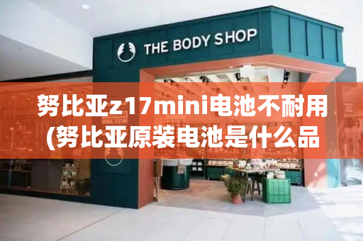 努比亚z17mini电池不耐用(努比亚原装电池是什么品牌)