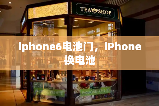 iphone6电池门，iPhone换电池-第1张图片-星选测评