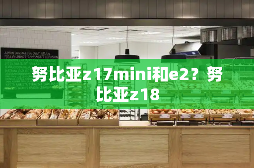 努比亚z17mini和e2？努比亚z18