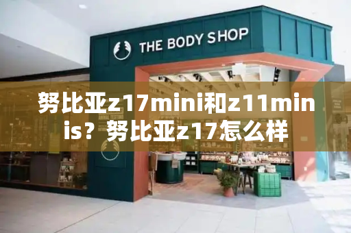 努比亚z17mini和z11minis？努比亚z17怎么样-第1张图片-星选测评