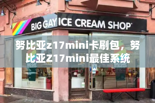 努比亚z17mini卡刷包，努比亚Z17mini最佳系统-第1张图片-星选测评