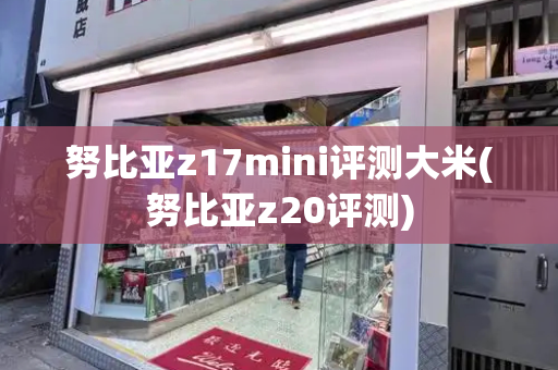 努比亚z17mini评测大米(努比亚z20评测)