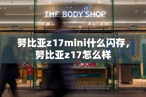 努比亚z17mini什么闪存，努比亚z17怎么样