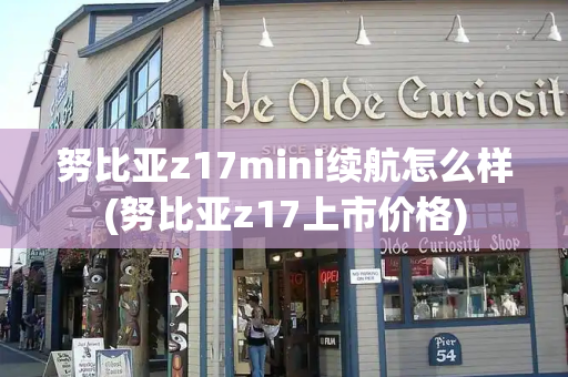 努比亚z17mini续航怎么样(努比亚z17上市价格)-第1张图片-星选测评