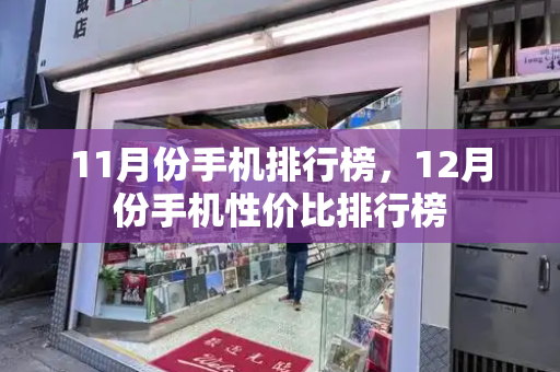 11月份手机排行榜，12月份手机性价比排行榜-第1张图片-星选测评