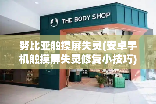 努比亚触摸屏失灵(安卓手机触摸屏失灵修复小技巧)