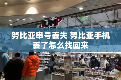 努比亚串号丢失 努比亚手机丢了怎么找回来-第1张图片-星选测评