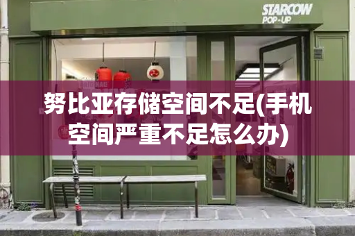努比亚存储空间不足(手机空间严重不足怎么办)-第1张图片-星选测评