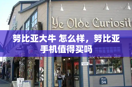 努比亚大牛 怎么样，努比亚手机值得买吗