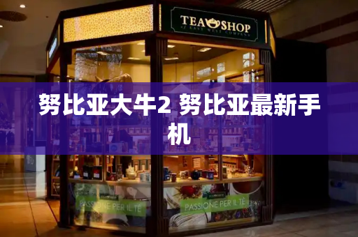 努比亚大牛2 努比亚最新手机-第1张图片-星选测评