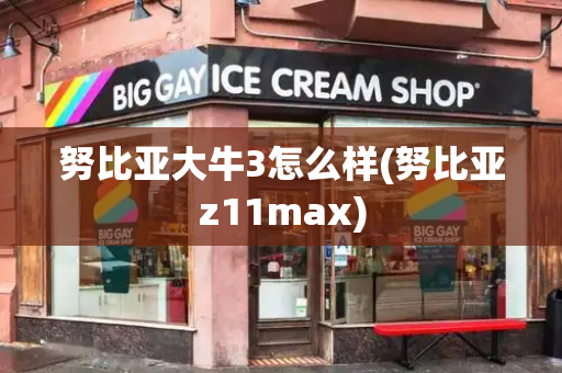 努比亚大牛3怎么样(努比亚z11max)