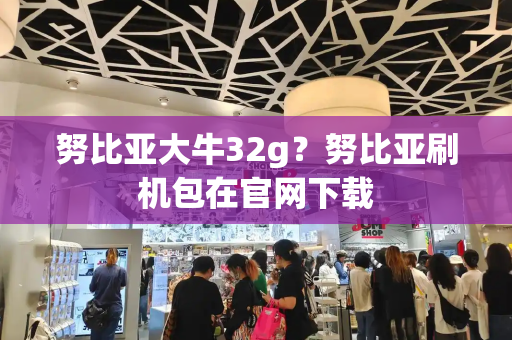努比亚大牛32g？努比亚刷机包在官网下载-第1张图片-星选测评