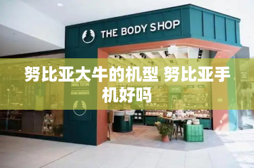 努比亚大牛的机型 努比亚手机好吗