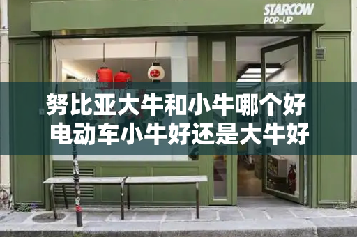 努比亚大牛和小牛哪个好 电动车小牛好还是大牛好
