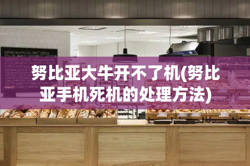 努比亚大牛开不了机(努比亚手机死机的处理方法)