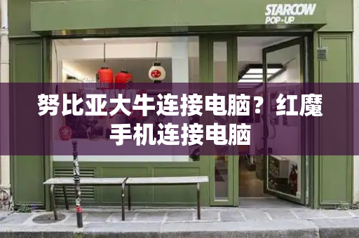 努比亚大牛连接电脑？红魔手机连接电脑