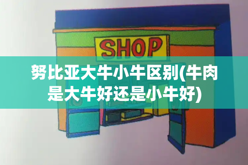 努比亚大牛小牛区别(牛肉是大牛好还是小牛好)