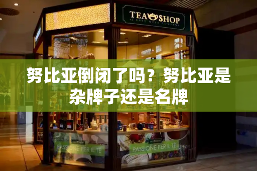 努比亚倒闭了吗？努比亚是杂牌子还是名牌