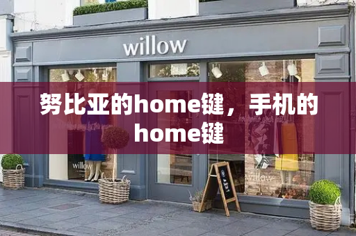 努比亚的home键，手机的home键