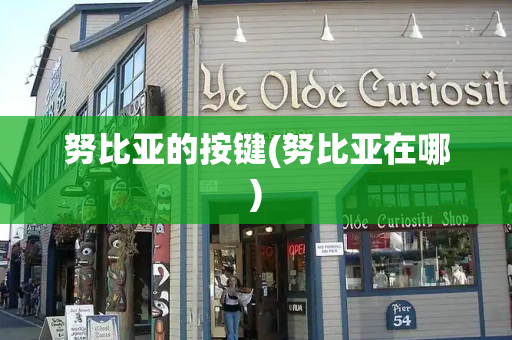 努比亚的按键(努比亚在哪)-第1张图片-星选测评