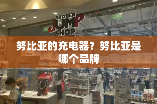 努比亚的充电器？努比亚是哪个品牌-第1张图片-星选测评