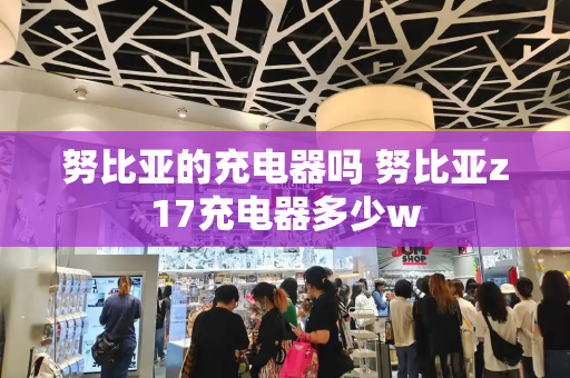 努比亚的充电器吗 努比亚z17充电器多少w