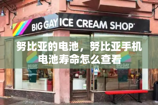 努比亚的电池，努比亚手机电池寿命怎么查看-第1张图片-星选测评