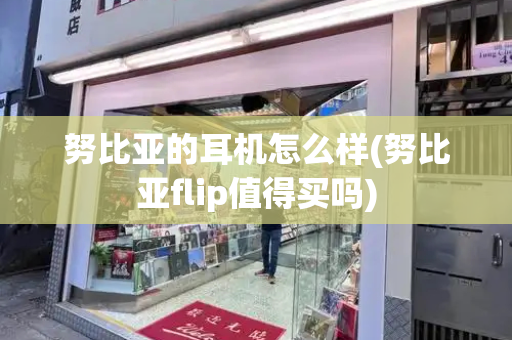 努比亚的耳机怎么样(努比亚flip值得买吗)-第1张图片-星选测评