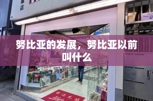 努比亚的发展，努比亚以前叫什么