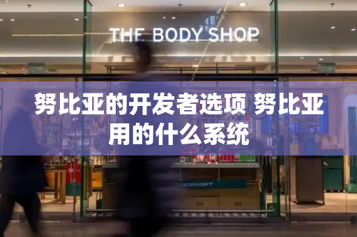 努比亚的开发者选项 努比亚用的什么系统