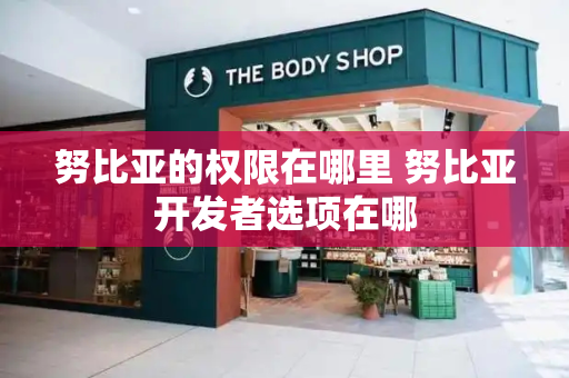 努比亚的权限在哪里 努比亚开发者选项在哪-第1张图片-星选测评