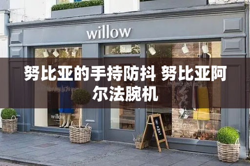努比亚的手持防抖 努比亚阿尔法腕机