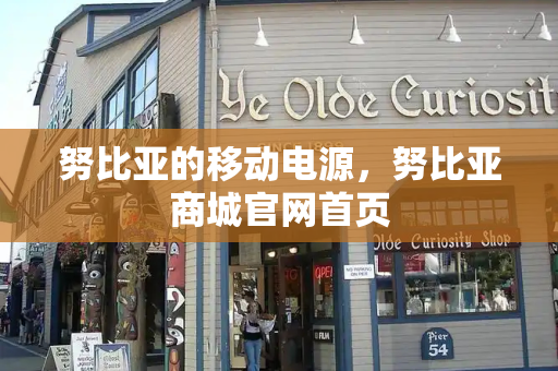 努比亚的移动电源，努比亚商城官网首页
