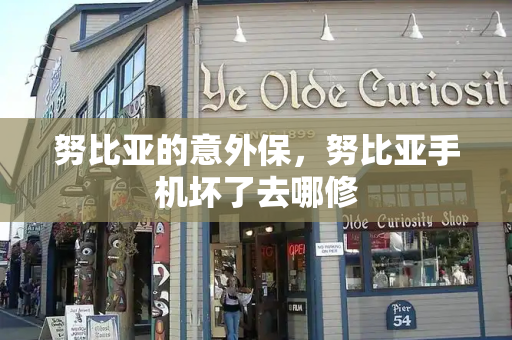努比亚的意外保，努比亚手机坏了去哪修-第1张图片-星选测评