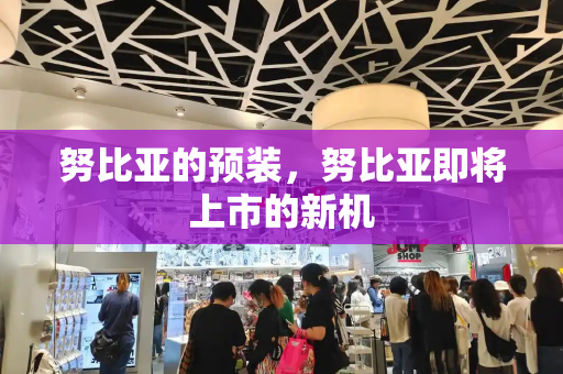 努比亚的预装，努比亚即将上市的新机