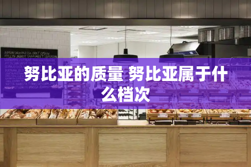 努比亚的质量 努比亚属于什么档次-第1张图片-星选测评
