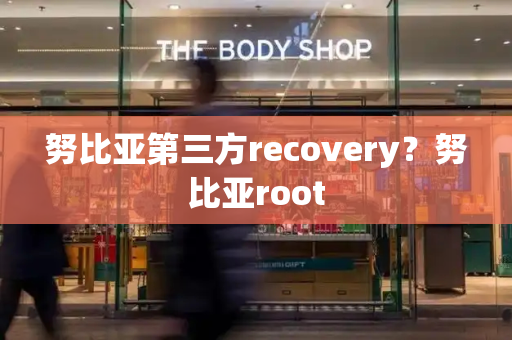 努比亚第三方recovery？努比亚root
