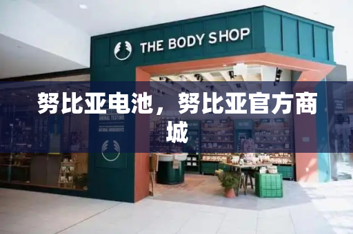 努比亚电池，努比亚官方商城-第1张图片-星选测评