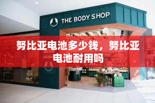 努比亚电池多少钱，努比亚电池耐用吗