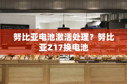 努比亚电池激活处理？努比亚Z17换电池