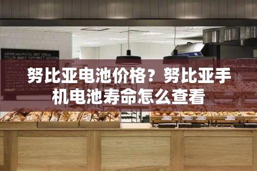 努比亚电池价格？努比亚手机电池寿命怎么查看