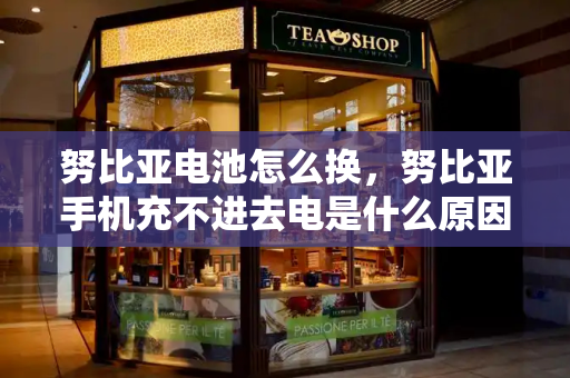 努比亚电池怎么换，努比亚手机充不进去电是什么原因-第1张图片-星选测评
