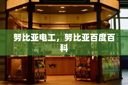 努比亚电工，努比亚百度百科