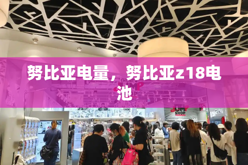努比亚电量，努比亚z18电池-第1张图片-星选测评