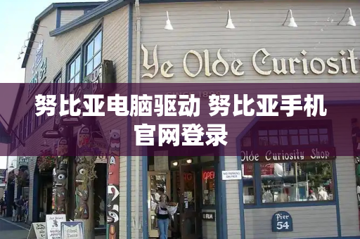 努比亚电脑驱动 努比亚手机官网登录